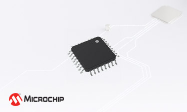 Microchip Technology AT42QT1244-AUR Capacitive Touch Sensor IC